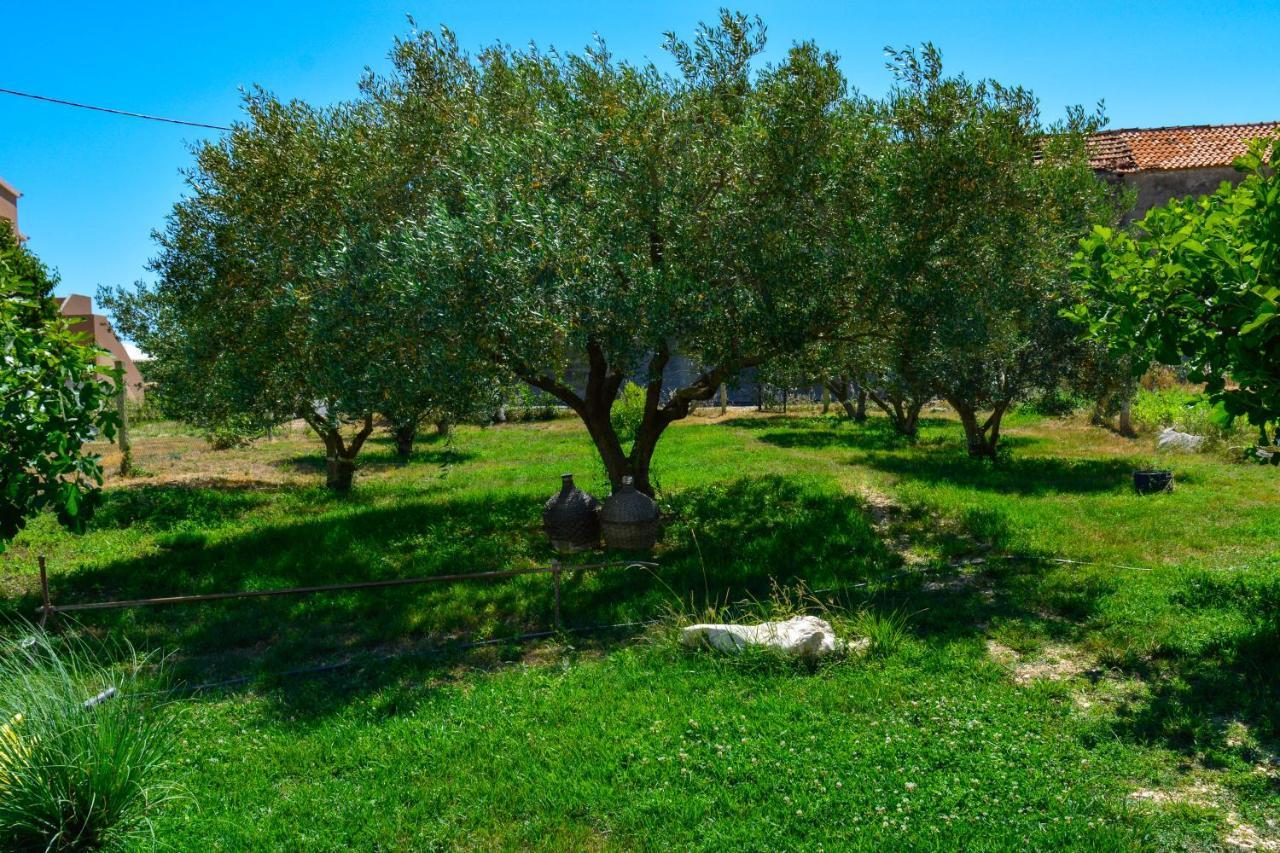 Villa Kutija Sveti Filip i Jakov Εξωτερικό φωτογραφία
