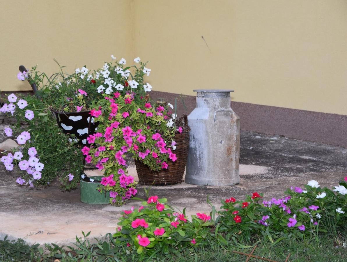 Villa Kutija Sveti Filip i Jakov Εξωτερικό φωτογραφία