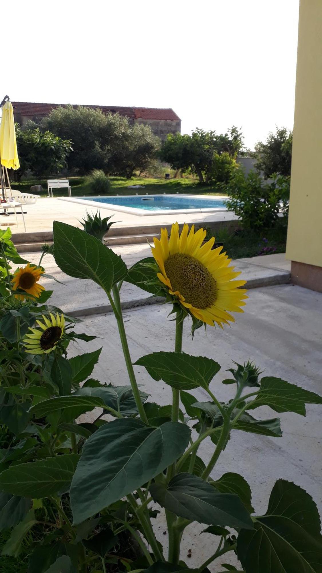 Villa Kutija Sveti Filip i Jakov Εξωτερικό φωτογραφία